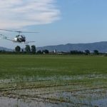 Aplicació de control del mosquit tigre