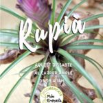 privat:-ecomercat-mon-emporda-–-1er-dissabte-de-cada-mes-a-rupia