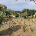 varwwwvhostsradiocapital.cathttpdocswp-contentuploads202011echoobresmur_fonteta_6.jpg5fbe5ee764ec1.jpg
