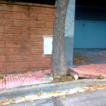 varwwwvhostsradiocapital.cathttpdocswp-contentuploads202011echosiwtc.jpg5fbe889c53a1f.jpg