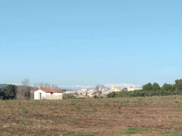 Pirineu Palafrugell cel serè