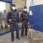 varwwwvhostsradiocapital.cathttpdocswp-contentuploads202101echo20210129_Uma_unitat_canina_Policia_Local-2.jpg