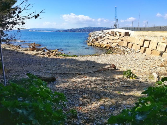 Platja Pere Grau Platja per animals de companyia