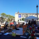 privat:-palafrugell-torna-a-omplir-les-xarxes-socials-amb-lectors-de-l’obra-de-josep-pla,-en-l’any-que-es-commemora-el-40e-aniversari-de-la-mort-de-l’escriptor