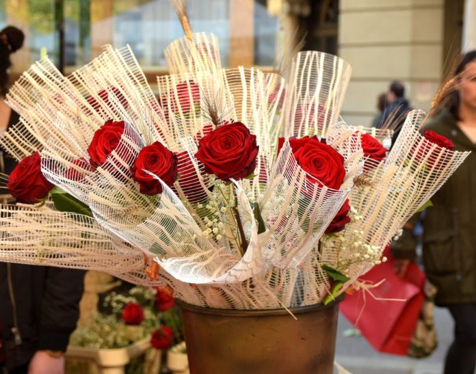 Sant Jordi (pixabay) Sant Jordi (pixabay)