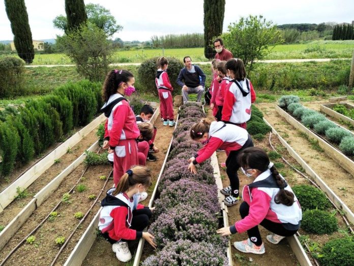 privat:-1370-alumnes-de-palafrugell-participen-en-les-activitat-escolars-de-l’area-de-medi-ambient