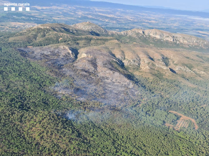 Incendi del massís del Montgrí des de l'aire - Agents Rurals