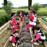 varwwwvhostsradiocapital.cathttpdocswp-contentuploads202107echoMA_visita_horts.jpg60f0f65d7997e.jpg