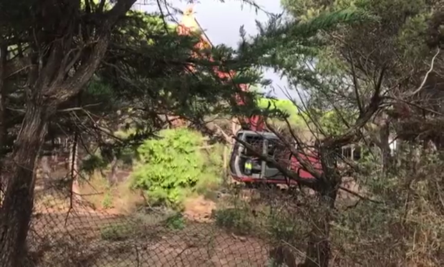 Tala d'arbres a la Fosca - Imatge de Salvem la Pineda d'en Gori