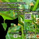 varwwwvhostsradiocapital.cathttpdocswp-contentuploads202109echoCartell-Taller-empordanet-glosa-300×200.jpg