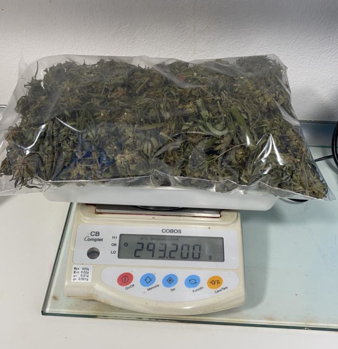 privat:-la-policia-local-de-palafrugell-realitza-dues-detencions-per-un-delicte-contra-la-salut-publica