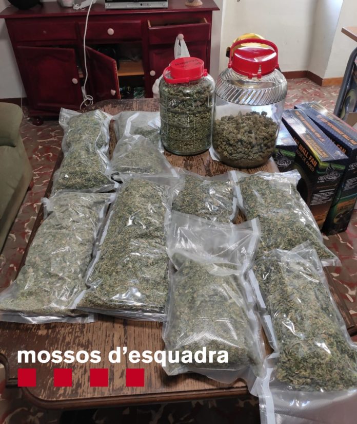 marihuana