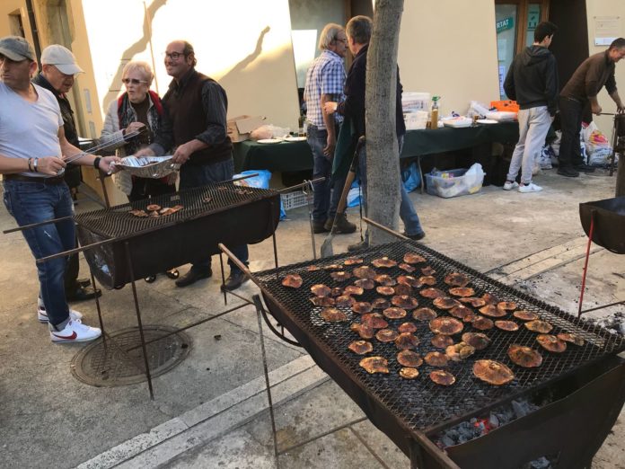 Fira-Exposició del Bolet de Sant Sadurní de l’Heura Fira-Exposició del Bolet 2021