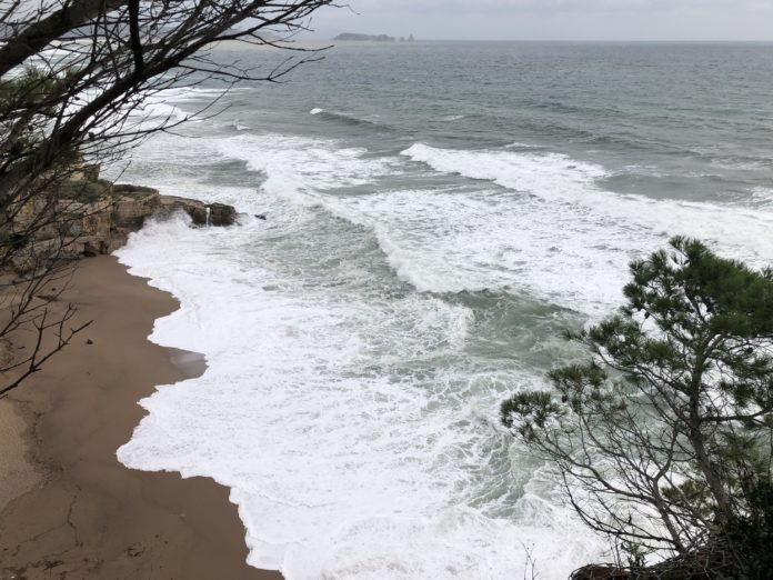 illa roja temporal