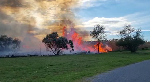 incendi Gola del Ter