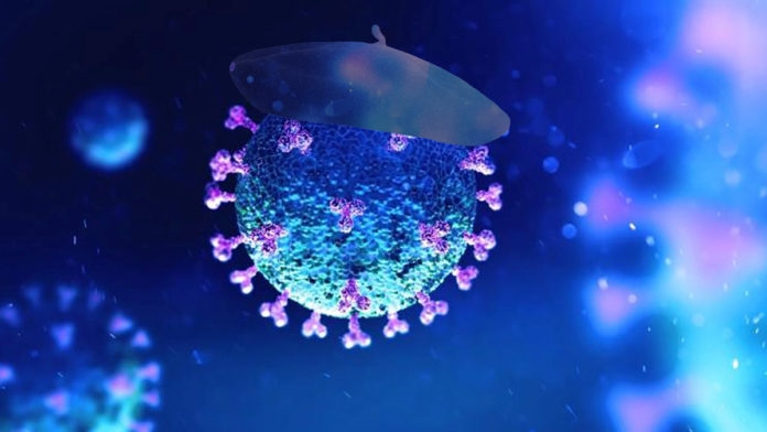 coronavirus amb boina