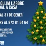 privat:-campanya-de-recollida-d’arbres-de-nadal