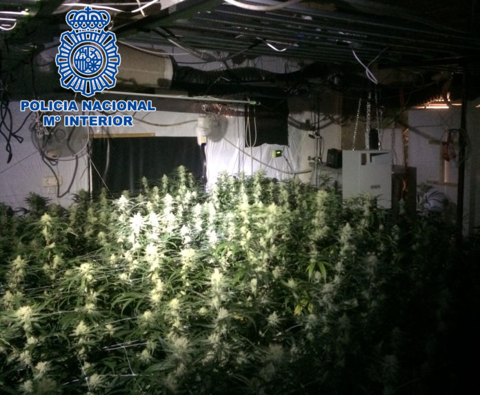 5f1ff544-5753-44d6-9ec2-0102e4f05bbd marihuana platja d'aro