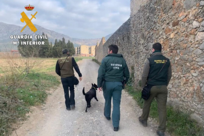 480f7468-11dd-4a69-b10a-49670cdfc7b7 agents seprona enverinament mascotes