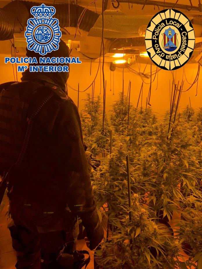 Un policia nacional entra a la plantació de marihuana hidropònica desarticulada a Platja d'Aro. Data de publicació: dilluns 11 d’abril del 2022, 10:38 Localització: Platja d'Aro Autor: Policia Nacional