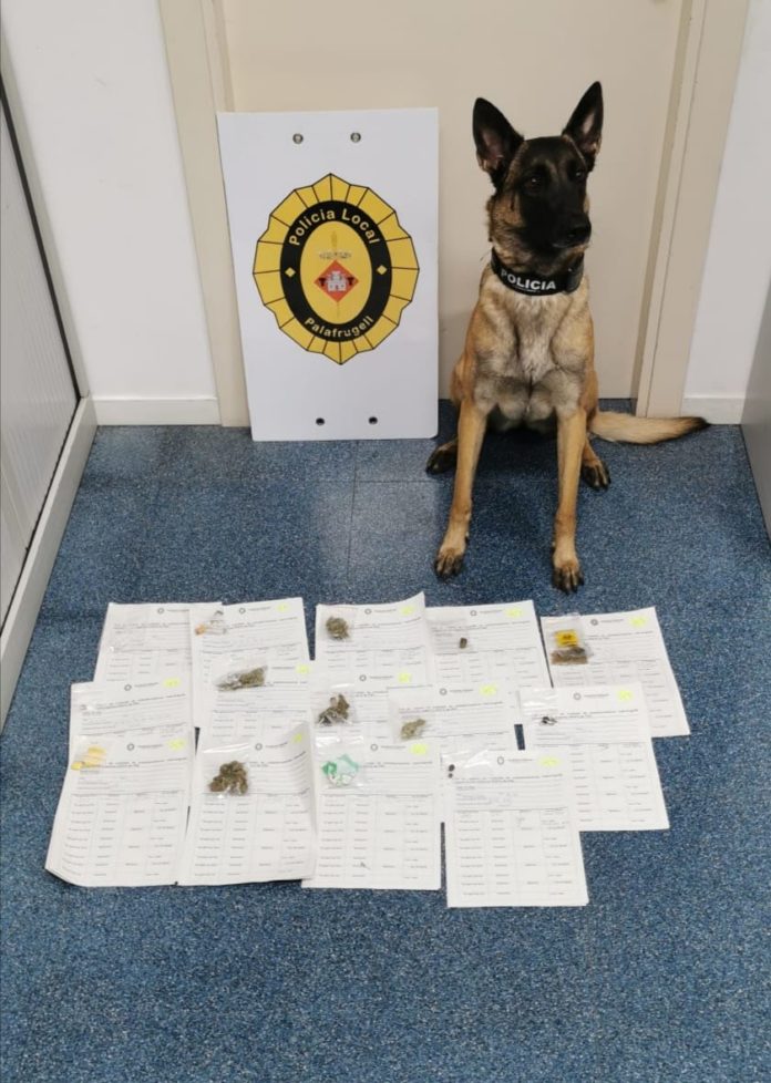 privat:-la-policia-local-realitza-un-control-que-acaba-amb-12-actes-per-substancies-estupefaents,-6-drogotest-positius,-3-alcoholemies-administratives-i-una-penal