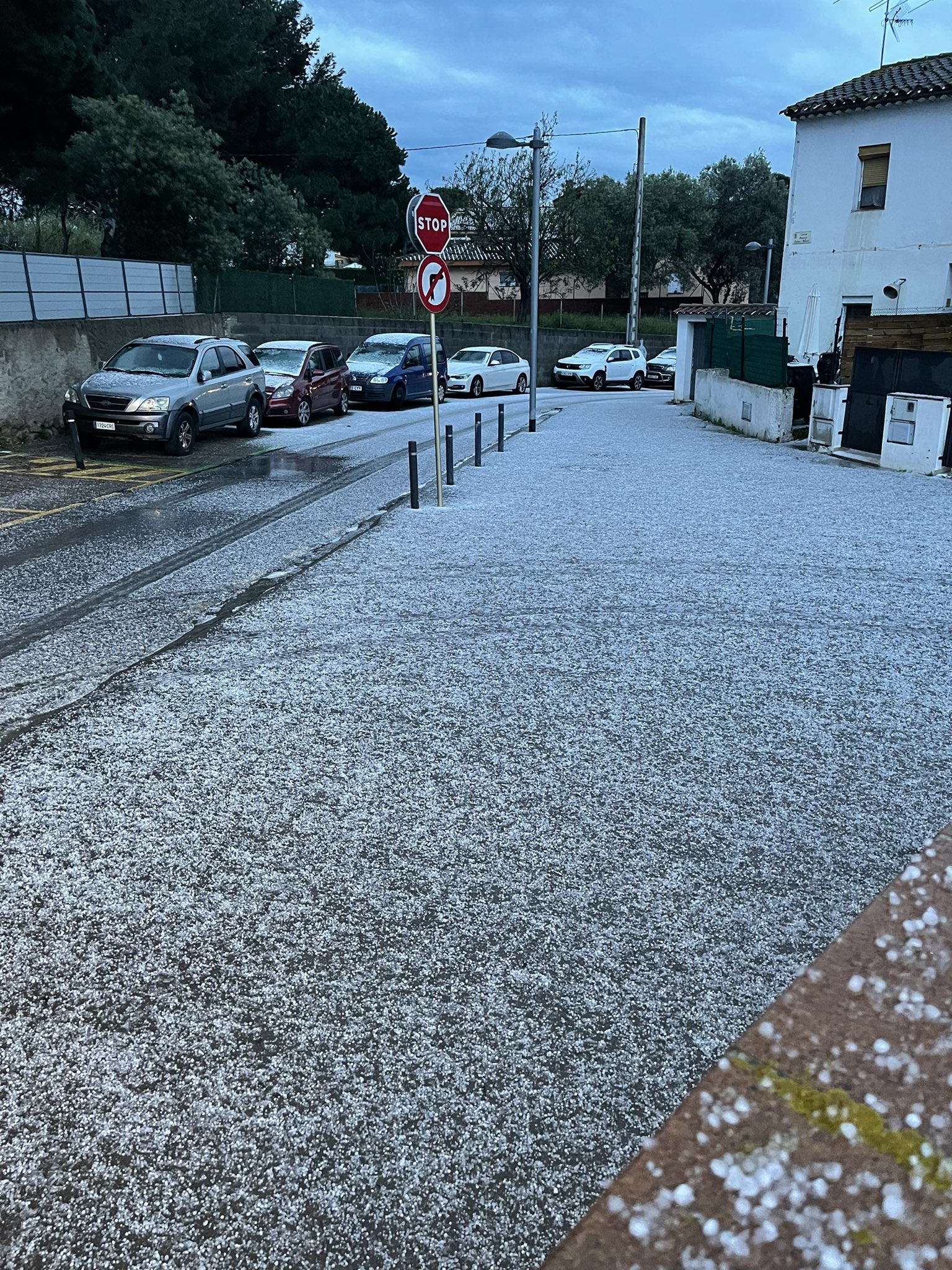 Calamarsada a Palamós