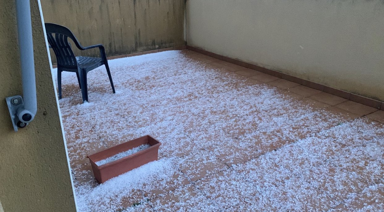 Calamarsada a Palamós