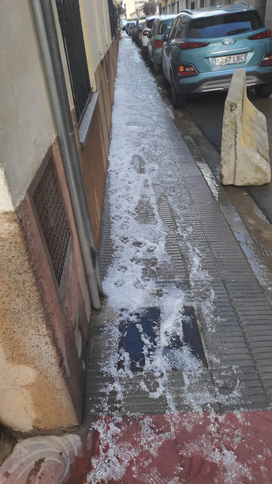 Calamarsada a Palamós