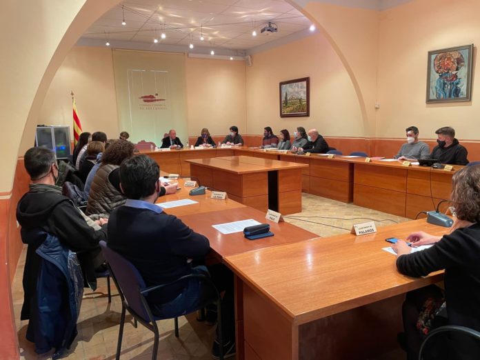 consell d'alcaldies