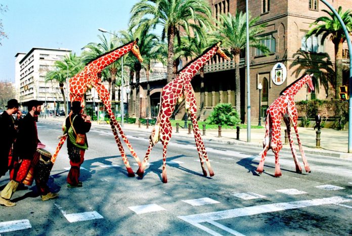 privat:-un-vistos-espectacle-de-cercavila-itinerant-amb-girafes-donara-inici,-el-proper-divendres-10-de-juny,-a-la-7a-edicio-de-la-fira-del-conte,-“explica’m-2022”-a-sant-feliu-de-guixols