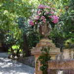 privat:-aquest-divendres-es-presenta-el-llibre-d’elm-puig-“planeta-latent”