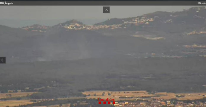 foc