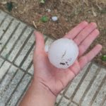 Alguns dels desperfectes causats per la calamarsada del 30 d'agost al Baix Empordà