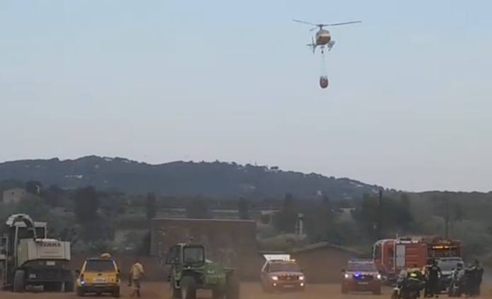 Captura de Pantalla 2022-08-08 a les 19.19.19