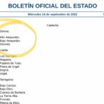 Boe bajo ampurdán
