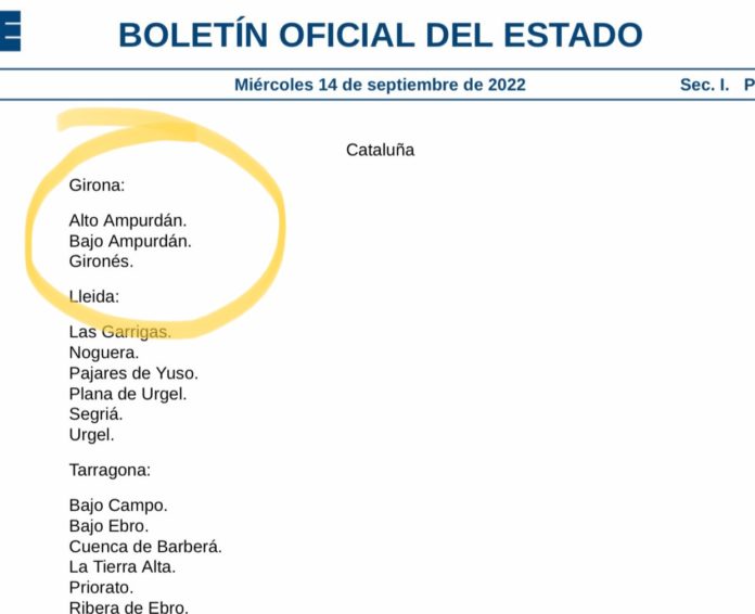 Boe bajo ampurdán Boe bajo ampurdán