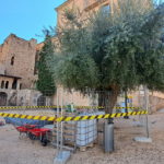 varwwwvhostsradiocapital.cathttpdocswp-contentuploads202210localimages00_MONESTIR_OBRES.jpg