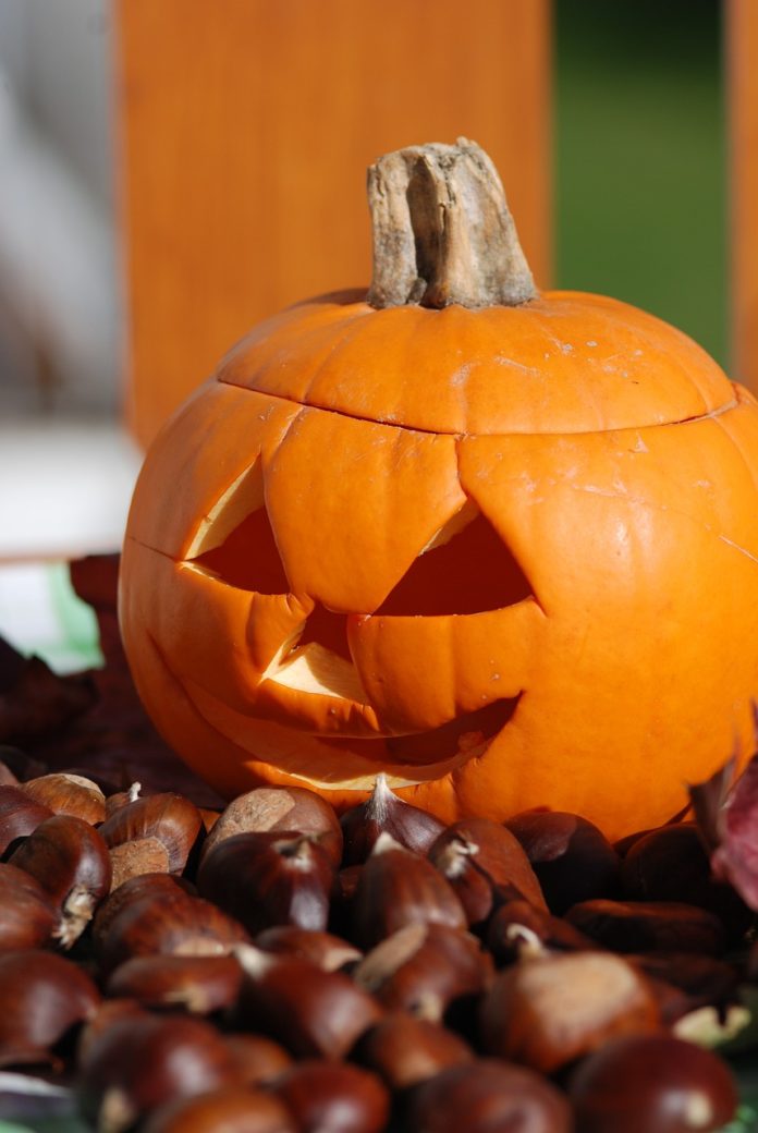 pumpkin-5943749_1280