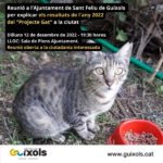 privat:-reunio-explicativa-sobre-el-projecte-gat-2022