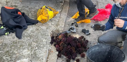 Agents Rurals denuncien pescadors furtius garoines