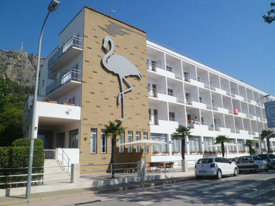 Basieras director Hotel Flamingo