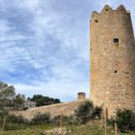 privat:-la-torre-del-mas-d’en-pinc-obre-les-seves-portes-perque-en-puguin-gaudir-veins-i-veines-i-visitants