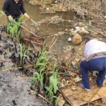 Neteja del rec del molí, de Verges