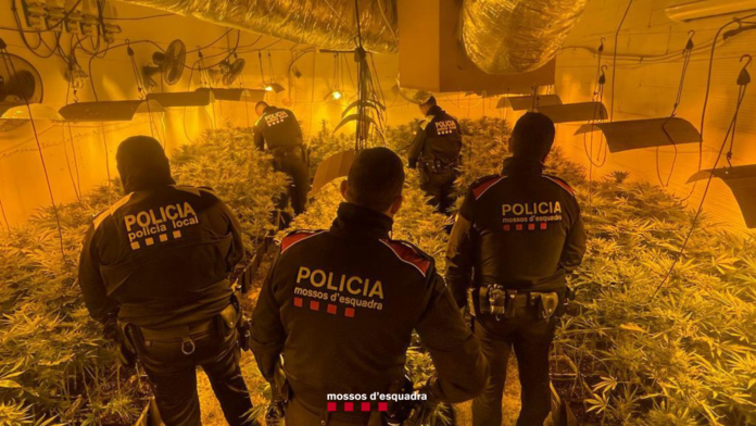 Mossos d'Esquadra Calonge