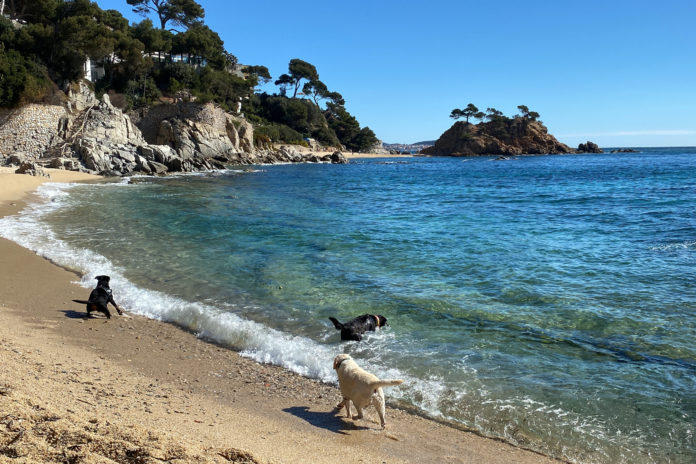 Cala Belladona per gossos Platja d'Aro i Sant Antoni