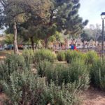privat:-palafrugell-segueix-implementant-mesures-d’estalvi-d’aigua-degut-a-l’actual-situacio-de-sequera