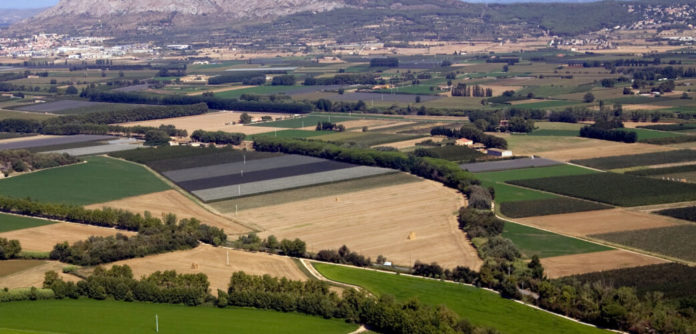 Baix-Emporda-Torrella-Estartit2-ARXIU-nov-09-AngelVila-1043x500