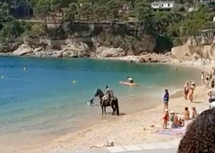 Un senyor passejant-se amb un cavall a Tamariu Un senyor passejant-se amb un cavall a Tamariu | @enriccanela