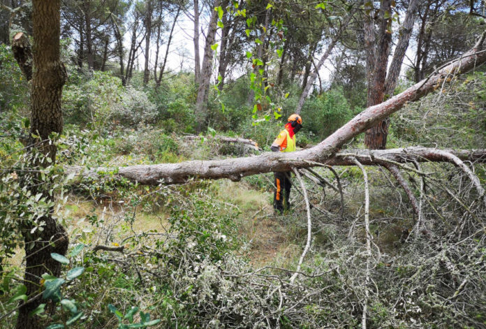 Palamós prevenció incendis