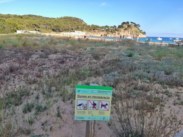 Renaturalització de la Platja del Castell
